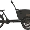 Fongers Cargo 3 Plus 468 Wh Zwart