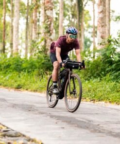 Elektrische gravelbikes