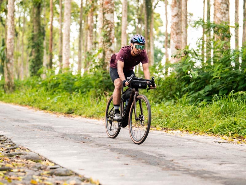 Elektrische gravelbikes