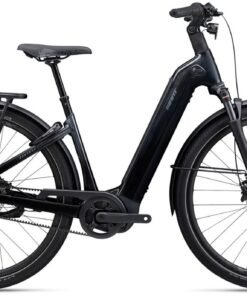 Giant AnyTour E+ 1 - 800 Wh - 71 cm - Instapmodel